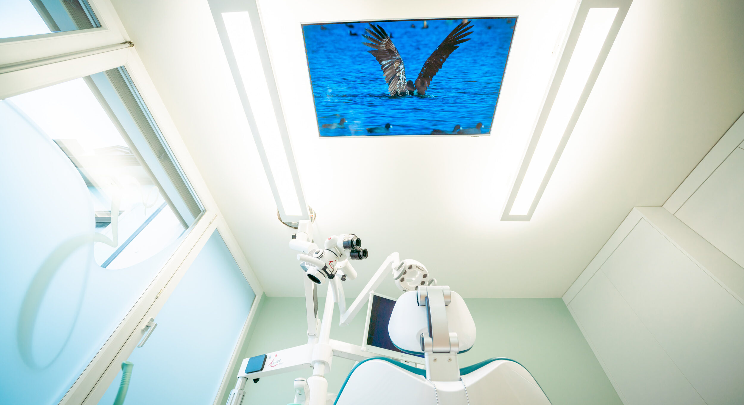 medicus solutions - Agentur für Ärzte, Ärztinnen, Zahnärzte, Zahnärztinnen, Tierärzte und Tierärztinnen - 052 301 44 44